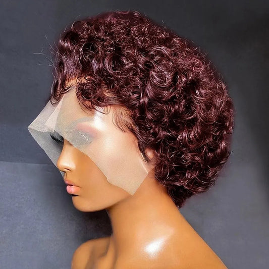 Curly Pixie Cut Lace Front Pre-Plucked Human Hair Wig