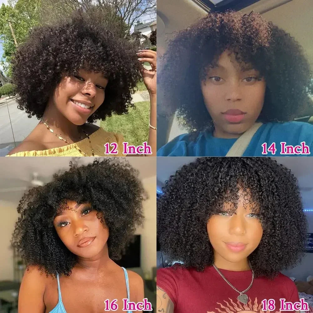 Afro Kinky Curly Wig with Bangs (Brazilian Remy Human Hair Full Machine Made)